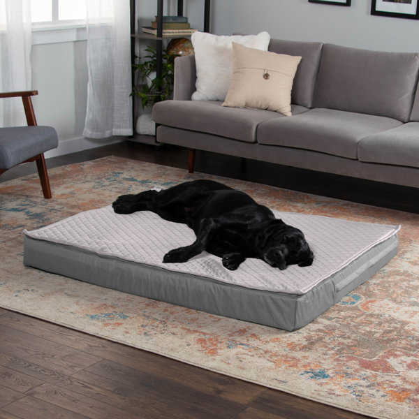 Orthopedic fashion sofa hot sale bed top paw